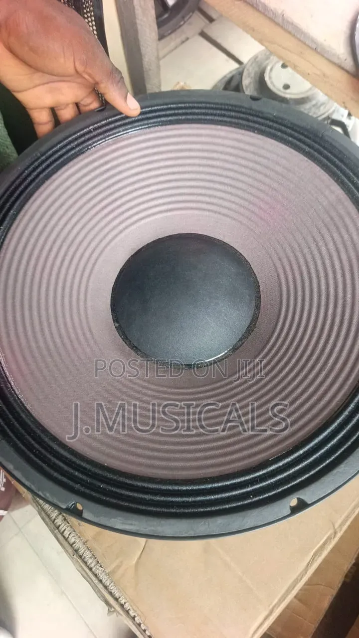15" Big Capacity Naked Speakers (Power Rated)