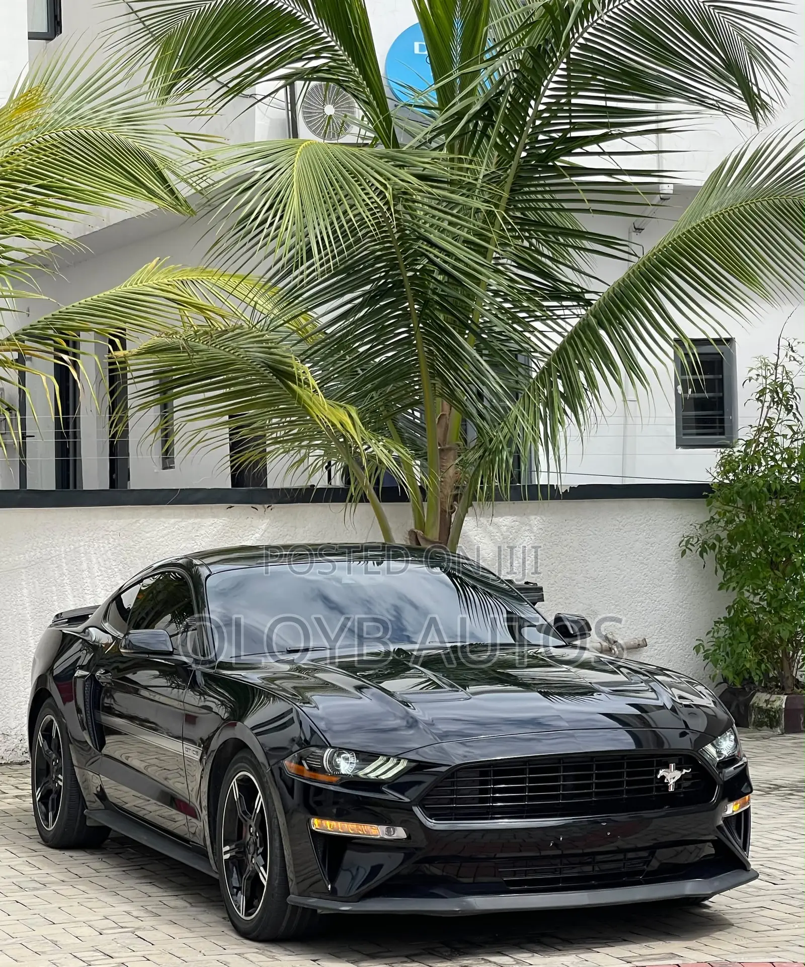 Ford Mustang BULLITT Fastback 2020 Black