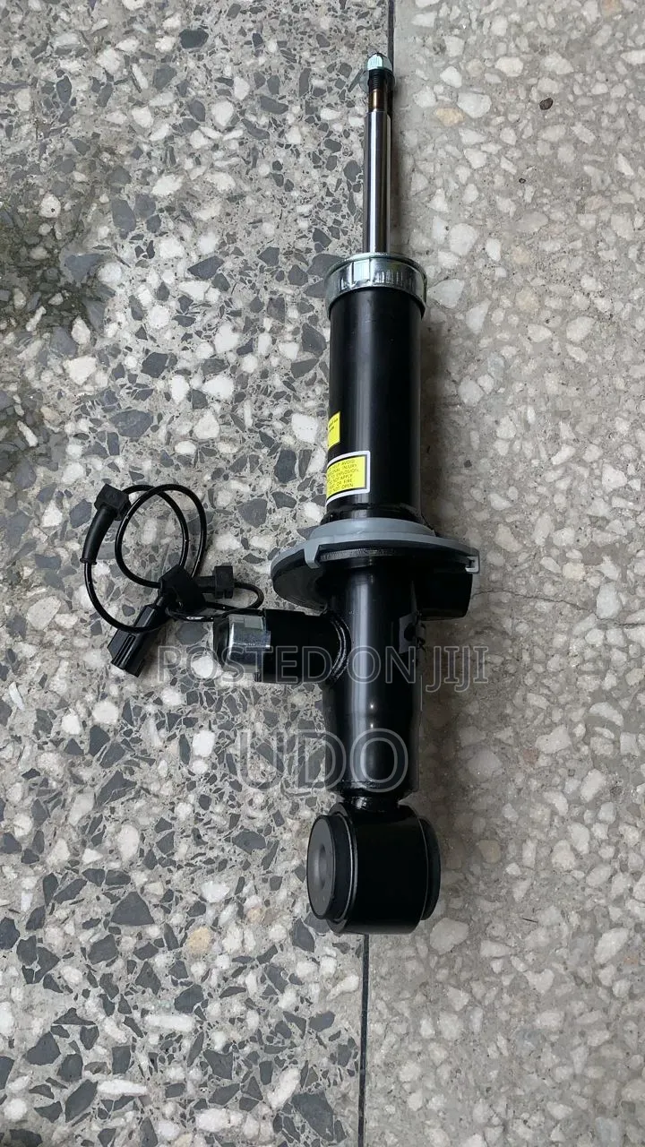 Back Shock Absorber Ford Lincoln 2019