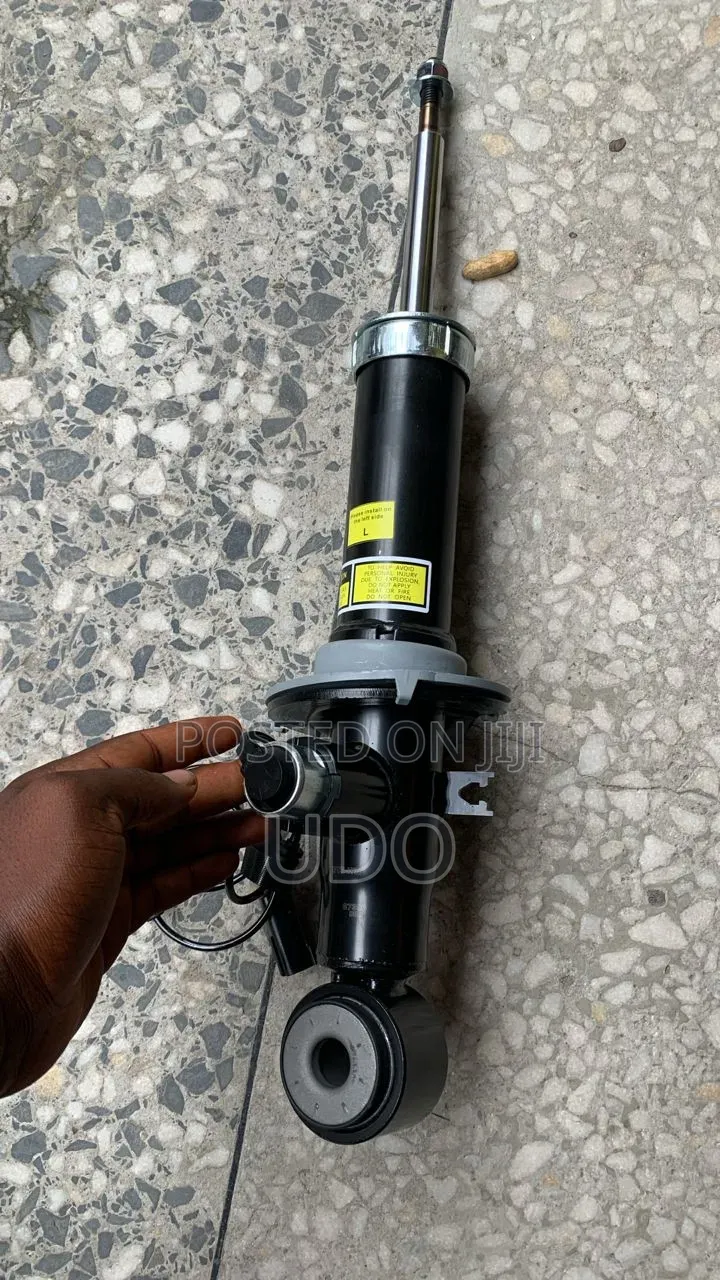Back Shock Absorber Ford Lincoln 2019
