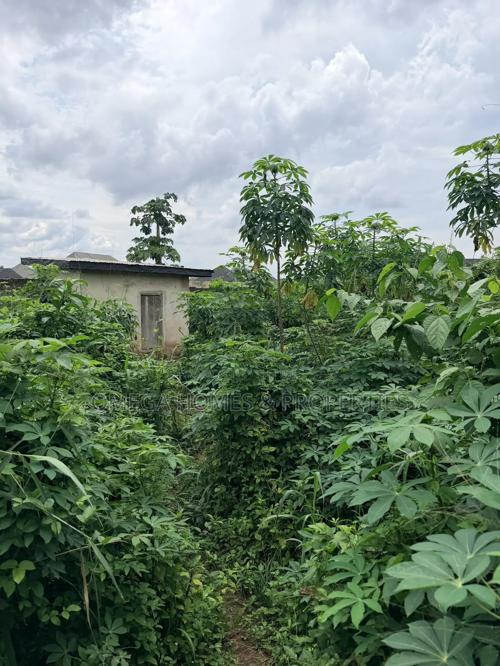 2 Plots of Land at Ibb Phase 2 Umuahia