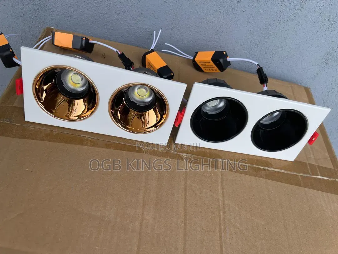 Double Head Square Recessed Anti White Gold Led Down Light