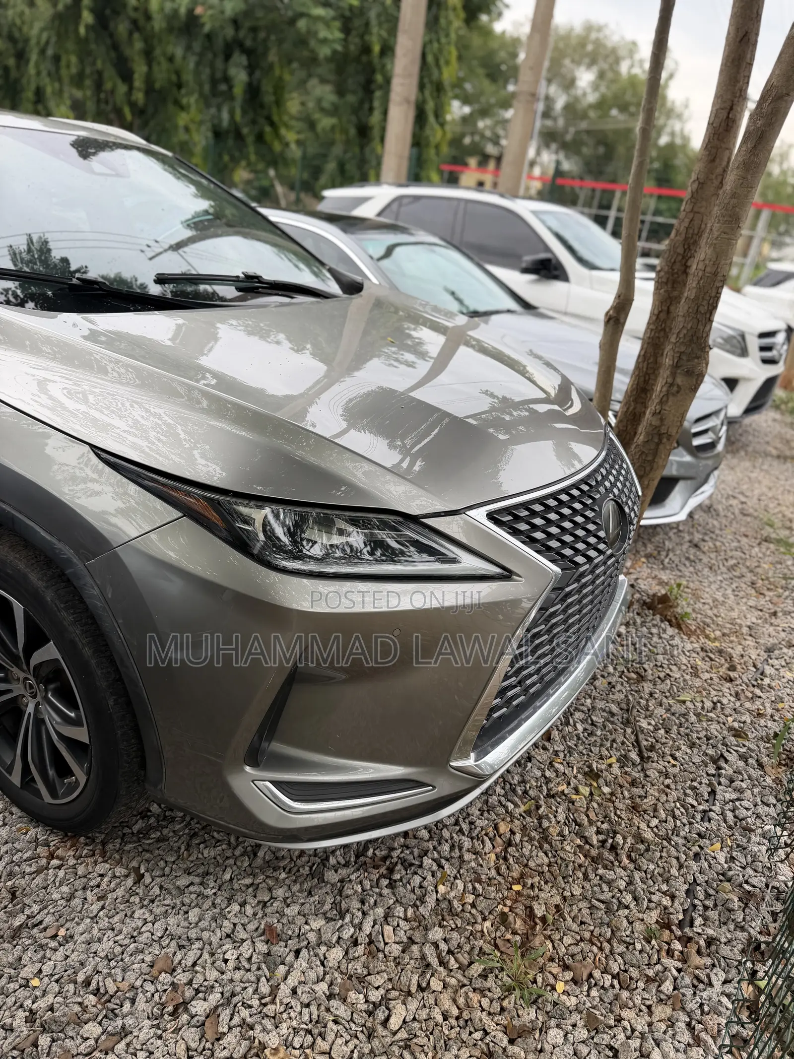 Lexus RX 2021 Gray