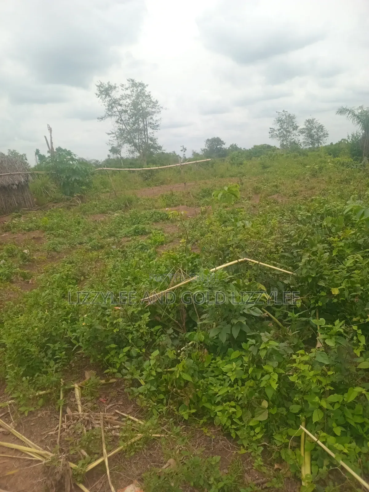 1.443 Acres of Land for Sale, at Per Plot, at Ijako, Ado- Odo Ota