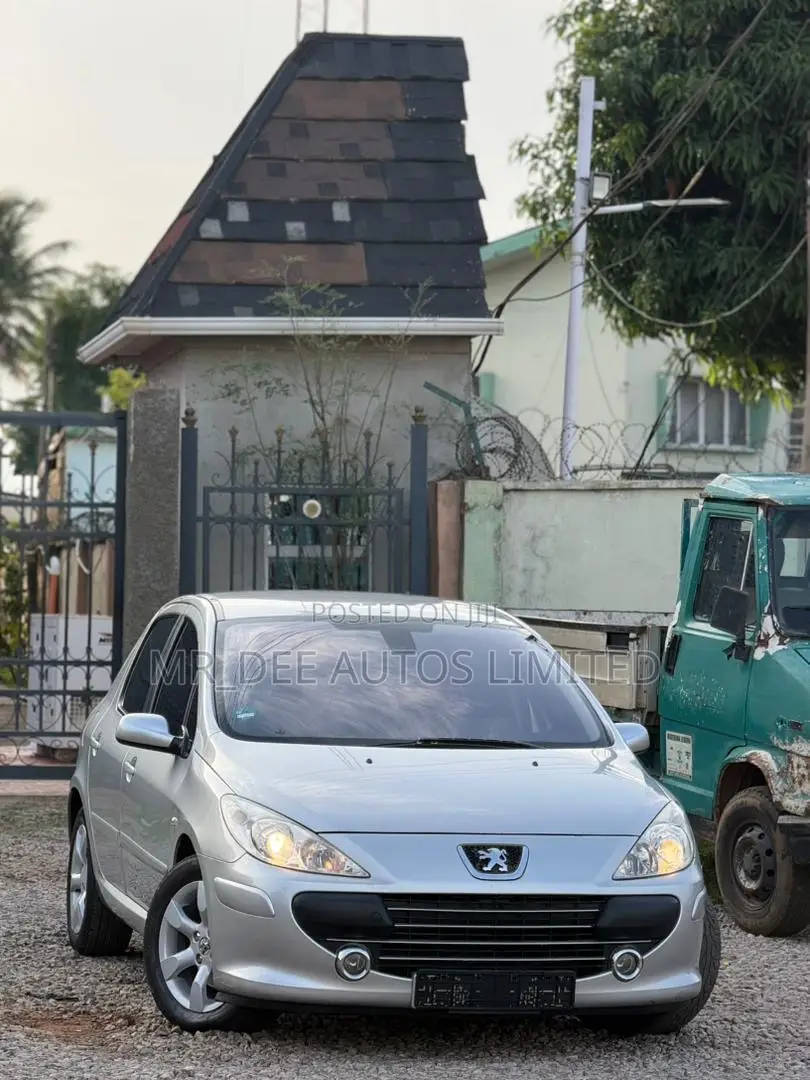 Peugeot 307 2007 Silver