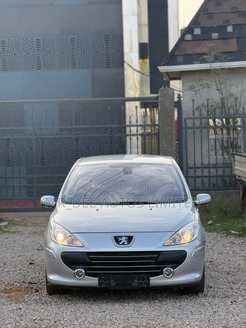 Peugeot 307 2007 Silver