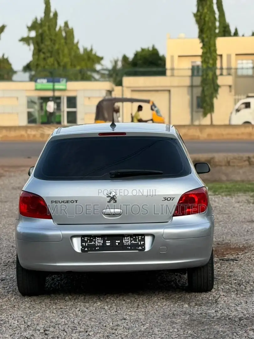 Peugeot 307 2007 Silver