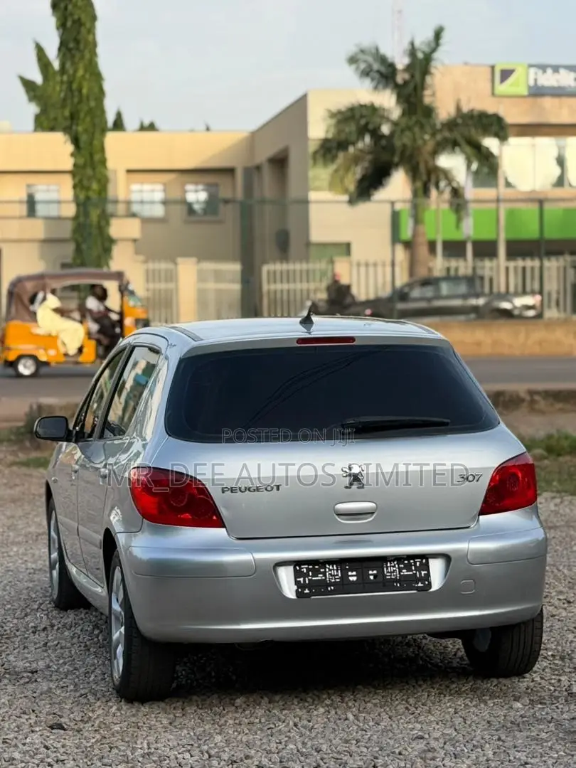 Peugeot 307 2007 Silver