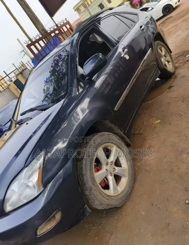 Lexus RX 2008 Gray