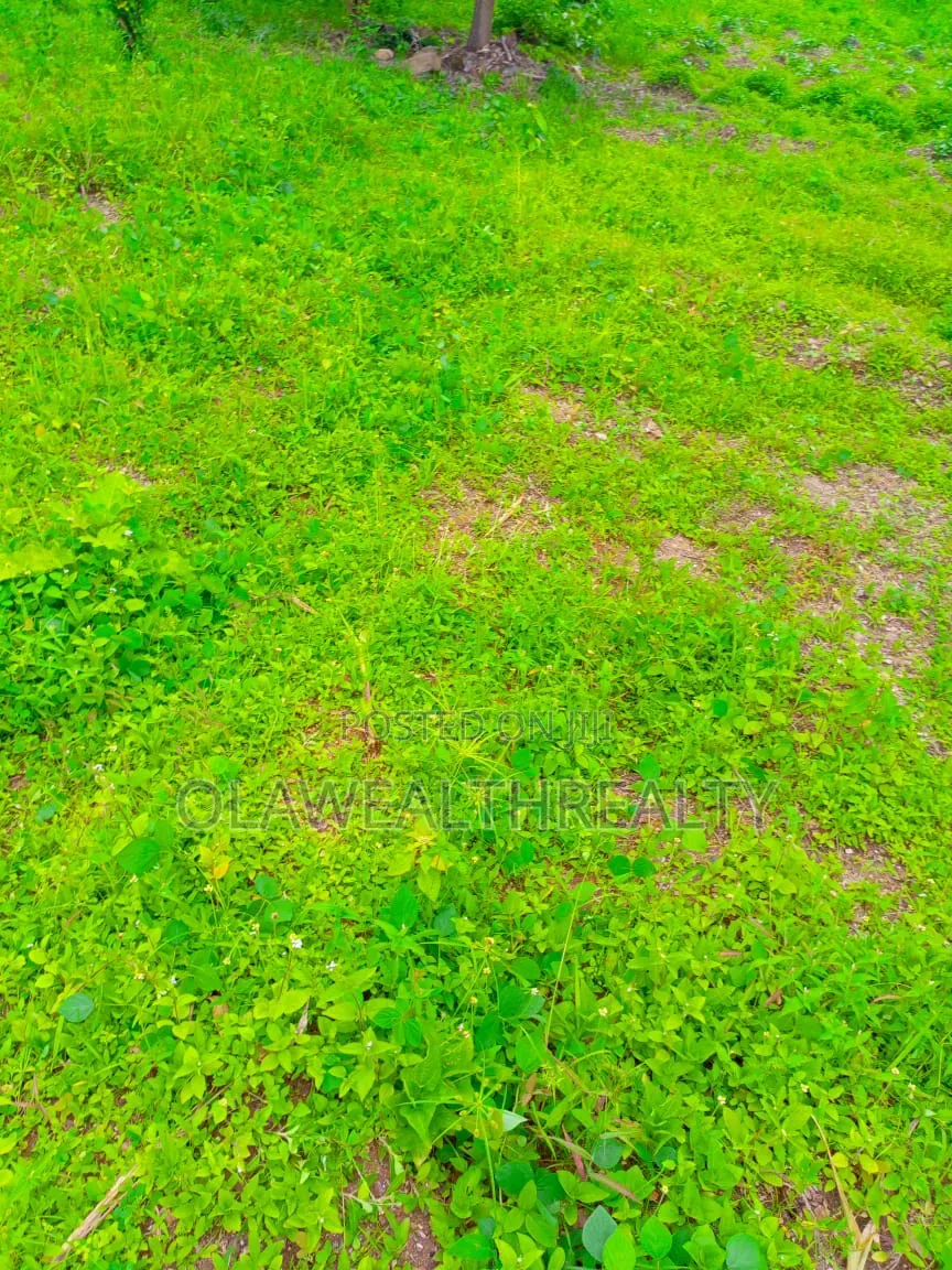 3,460sqm Commercial Land at Gudu District