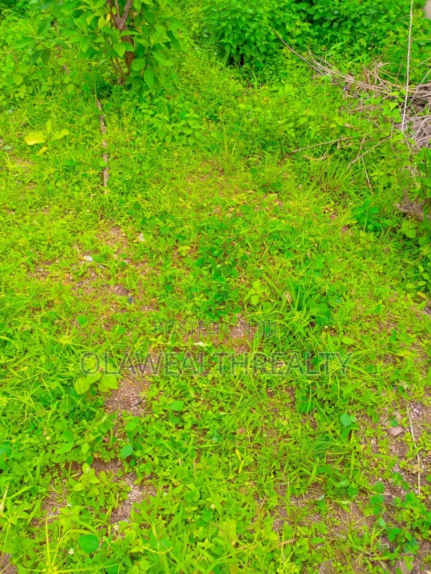 3,460sqm Commercial Land at Gudu District
