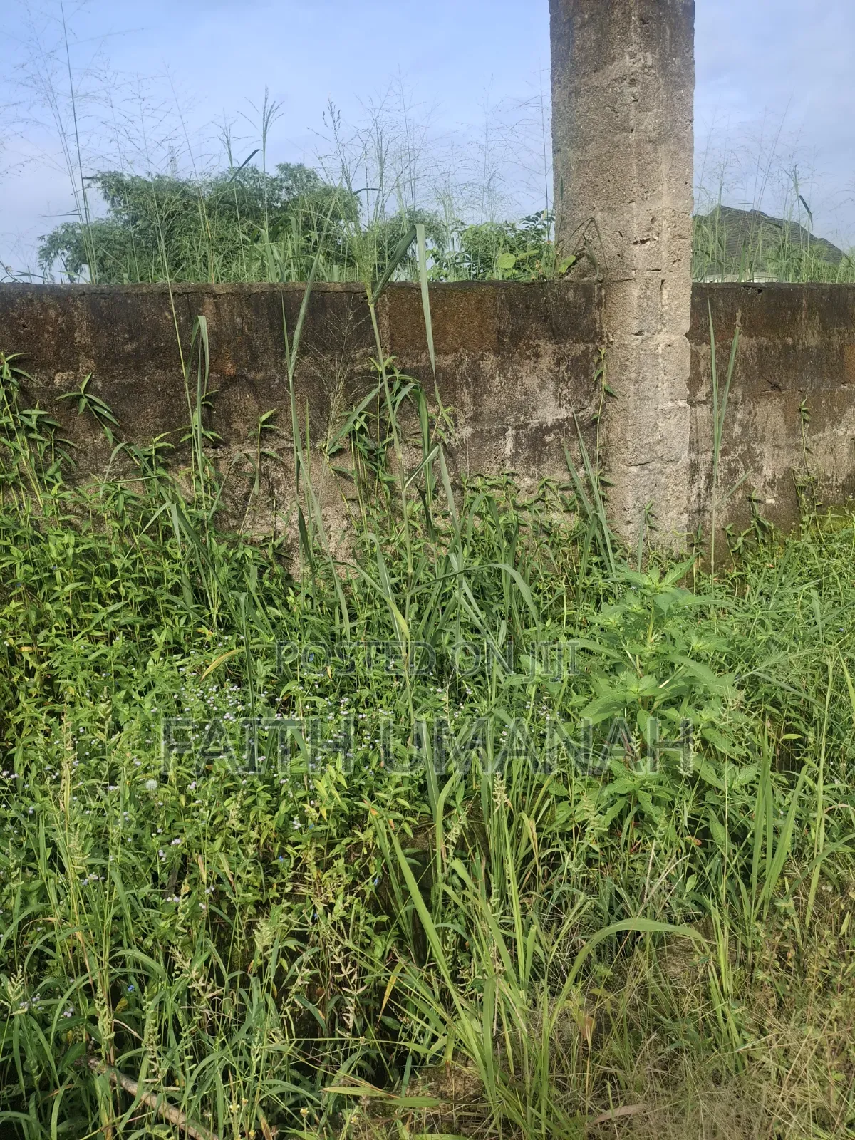 Bare Land in Uyo
