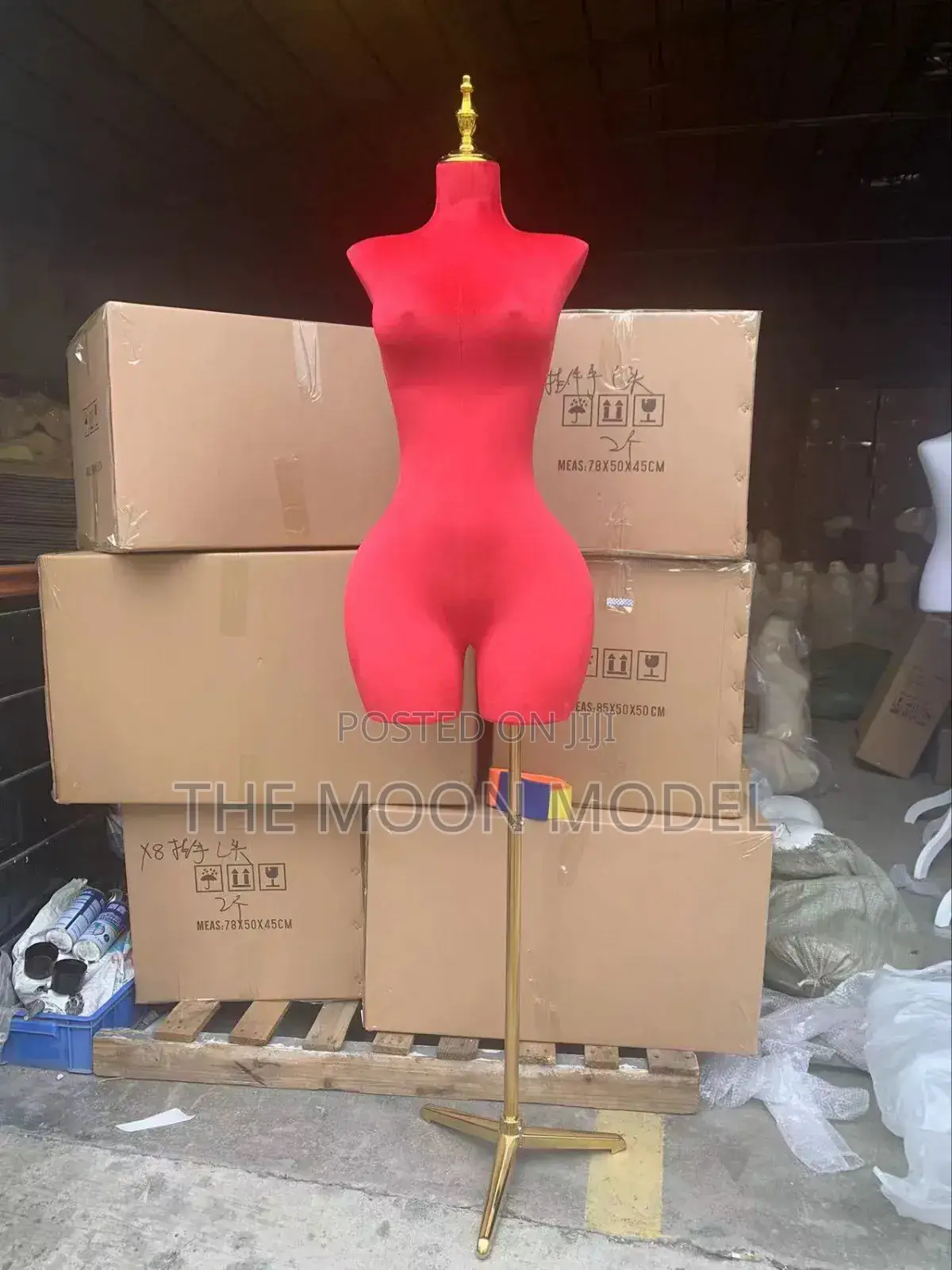 BBL Female Mannequin