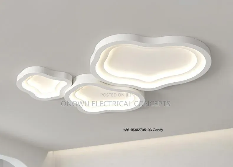Nordic Modern High-Light Acrylic Led Ceiling Lamp Bedroom Living Room