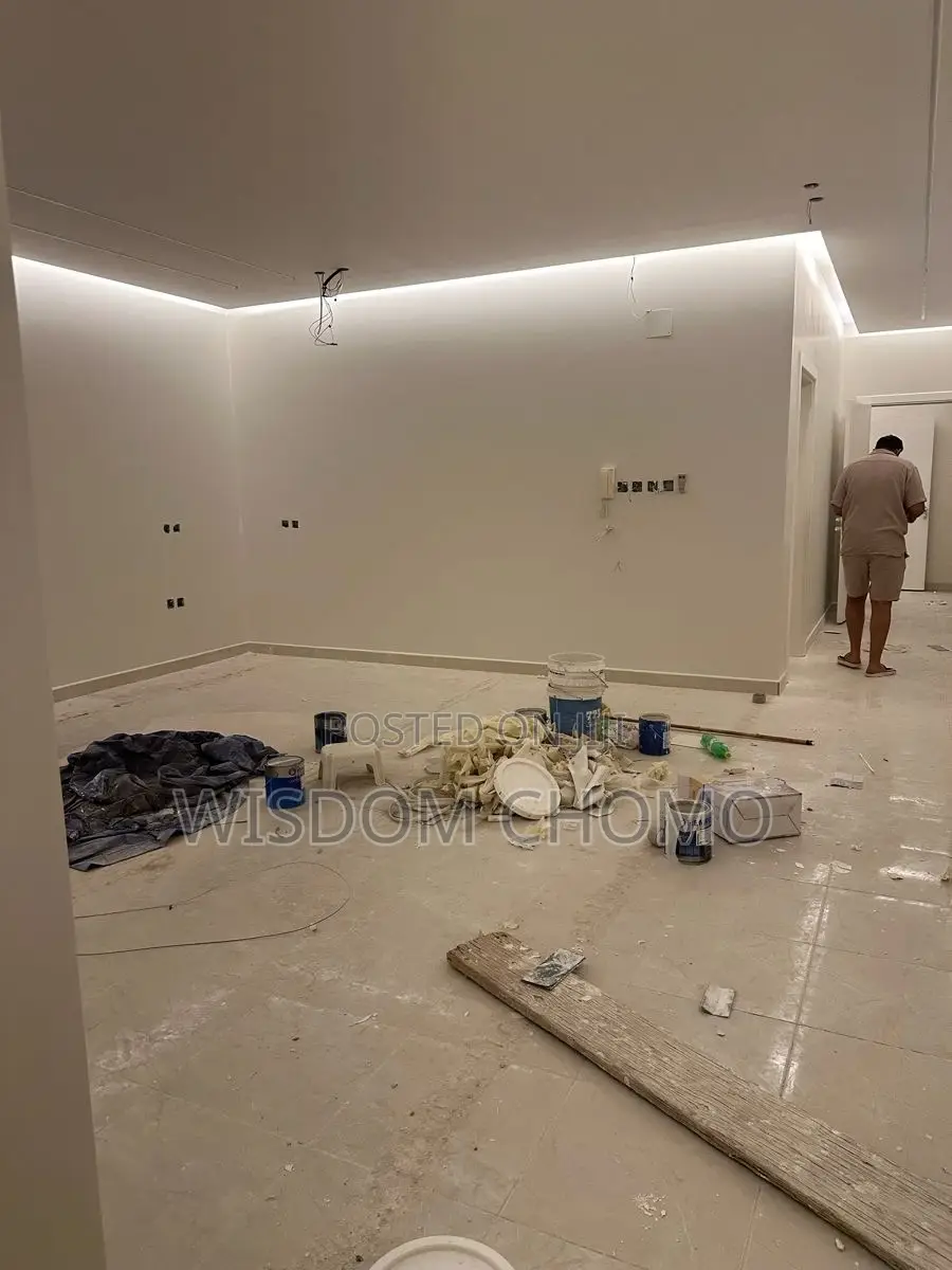 Professional Painter and Screeding