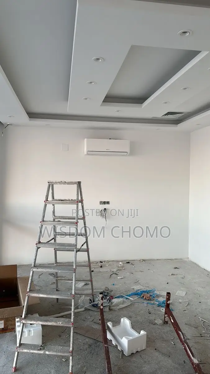 Professional Painter and Screeding