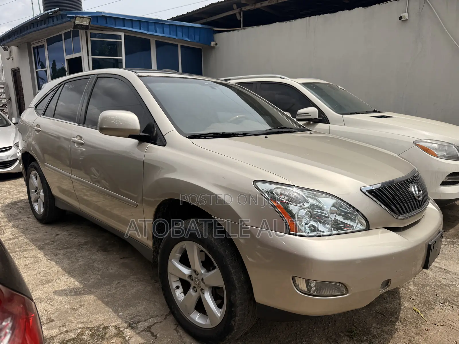 Lexus RX 330 2004 Gold