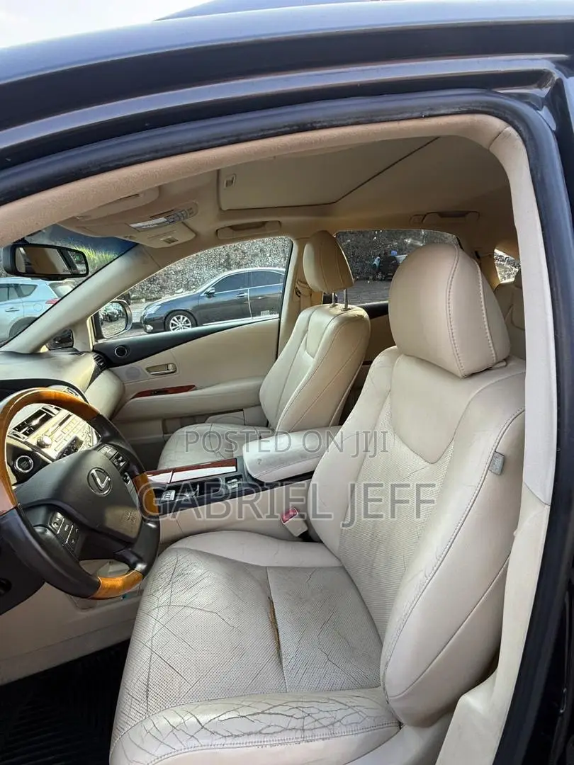 Lexus RX 350 2010 Gray