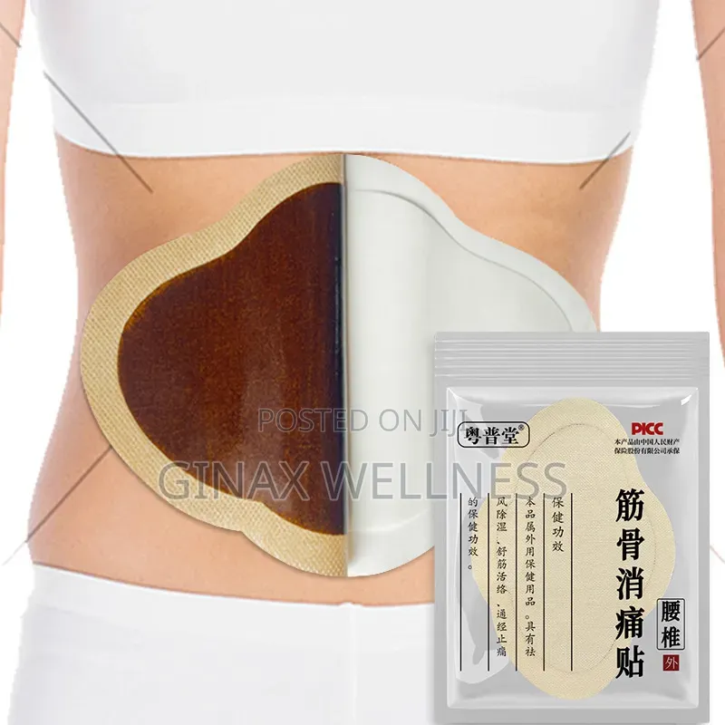 Extra-Large Lumbar Spine Pain Relief Patch (10 Pieces Per Pack)