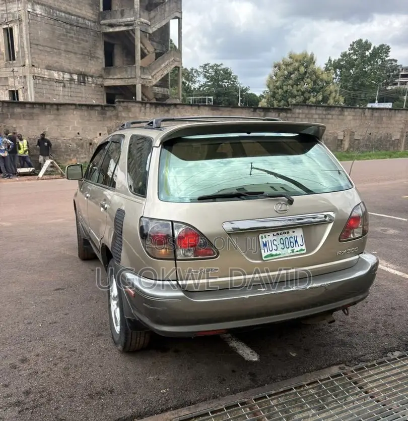 Lexus RX 2005 Silver