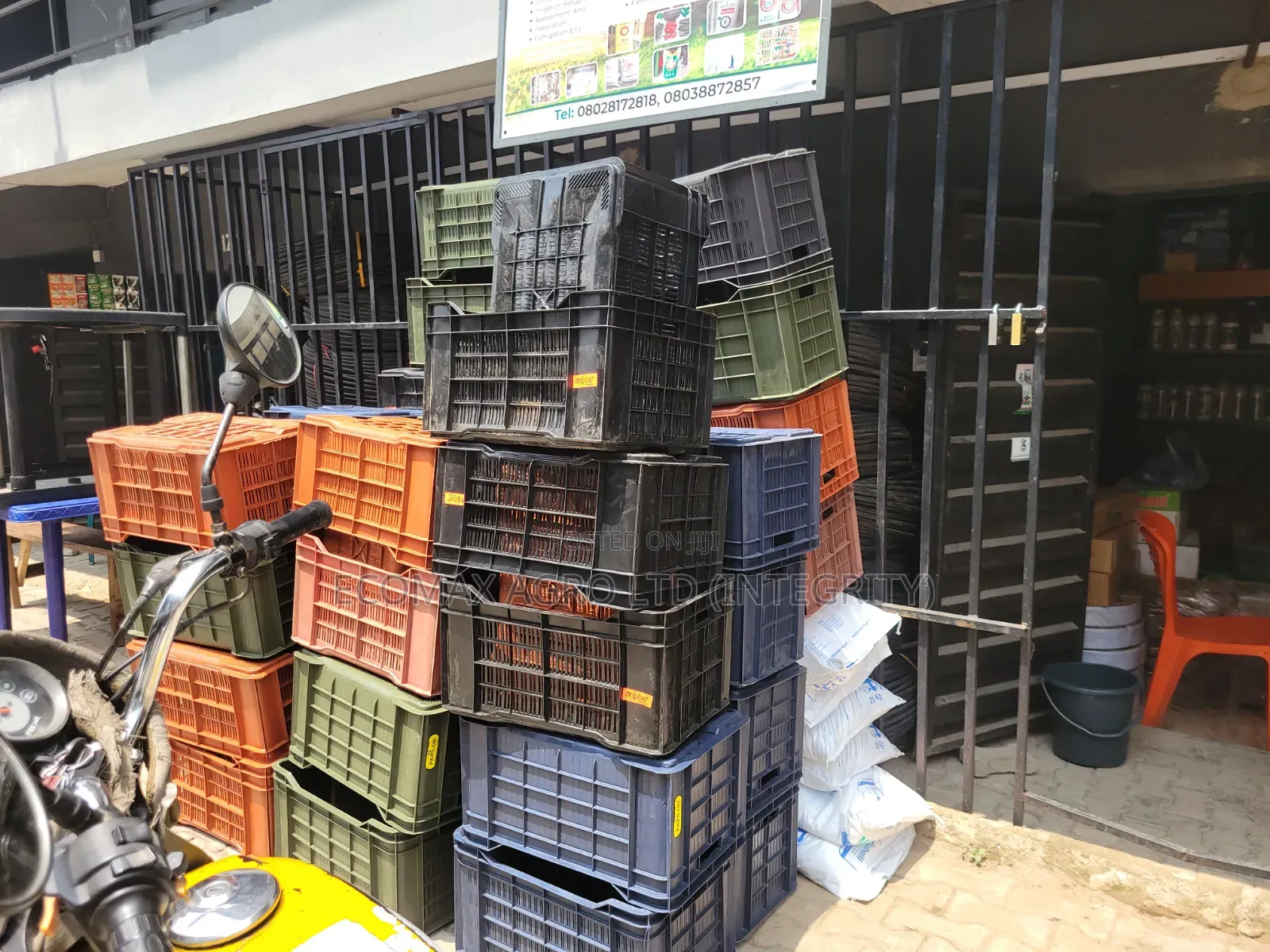 Crate - Vegetable Harvest Crate