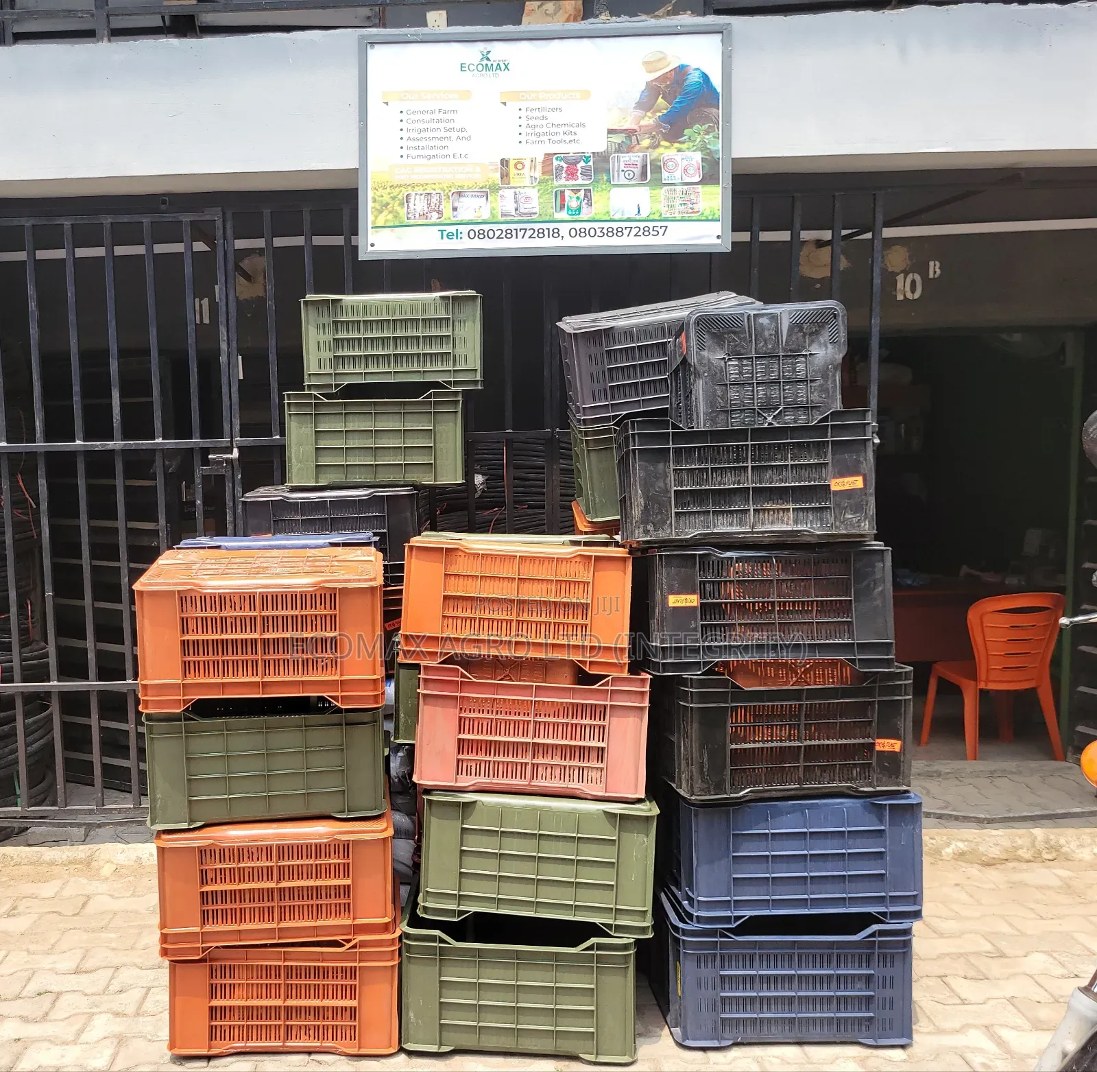 Crate - Vegetable Harvest Crate