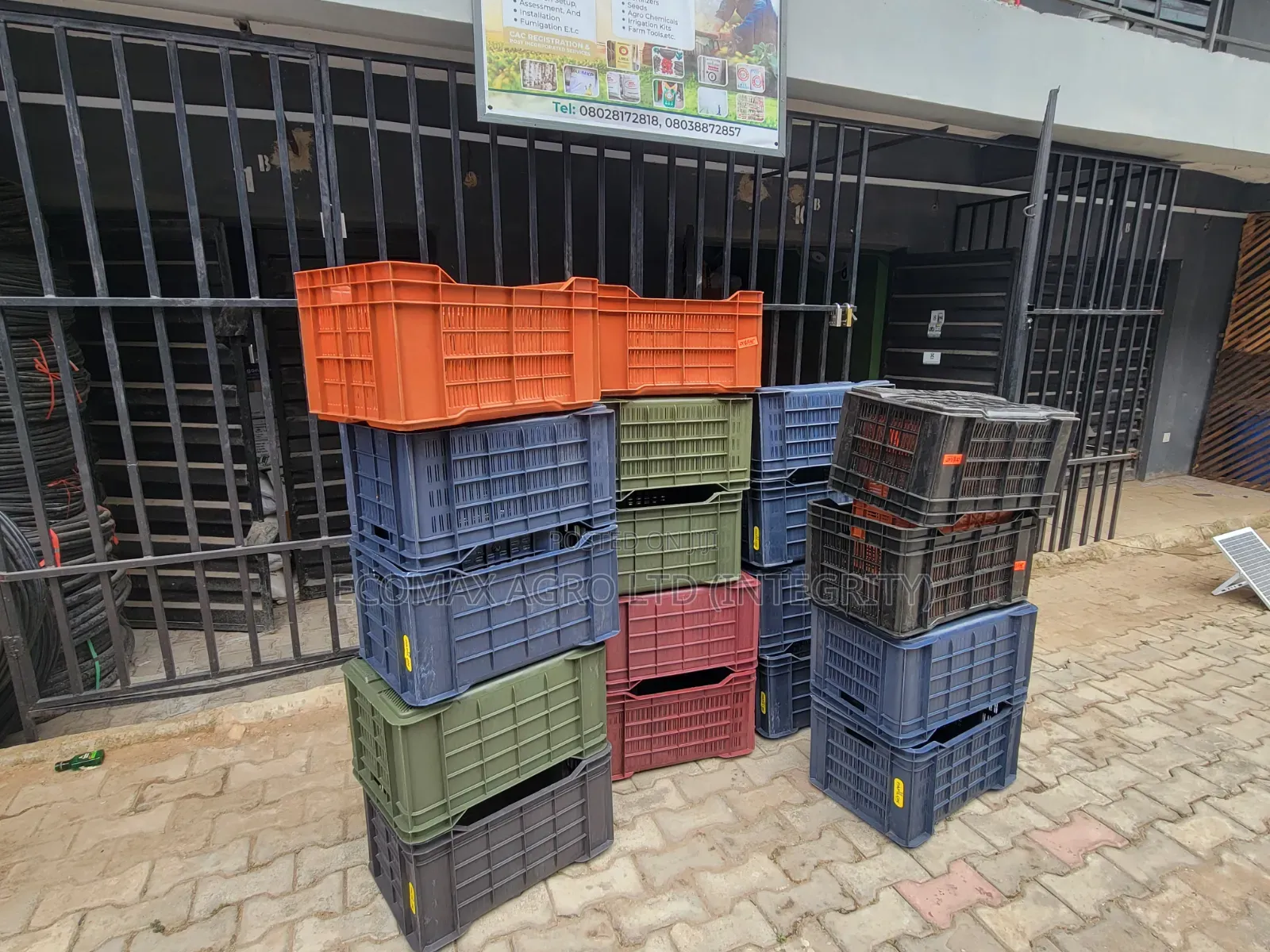 Crate - Vegetable Harvest Crate