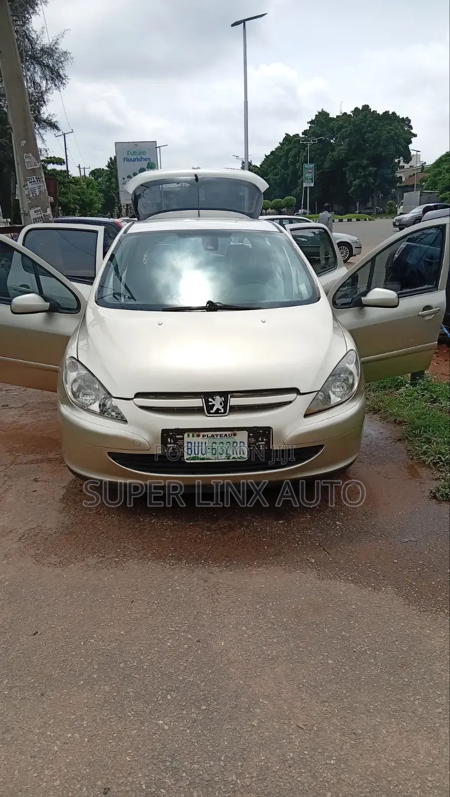 Peugeot 307 2005 Gold