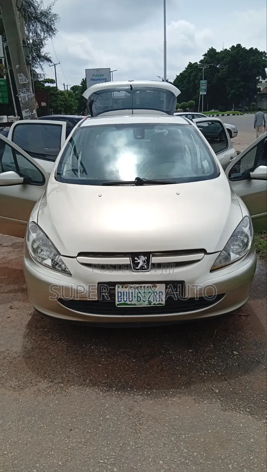 Peugeot 307 2005 Gold