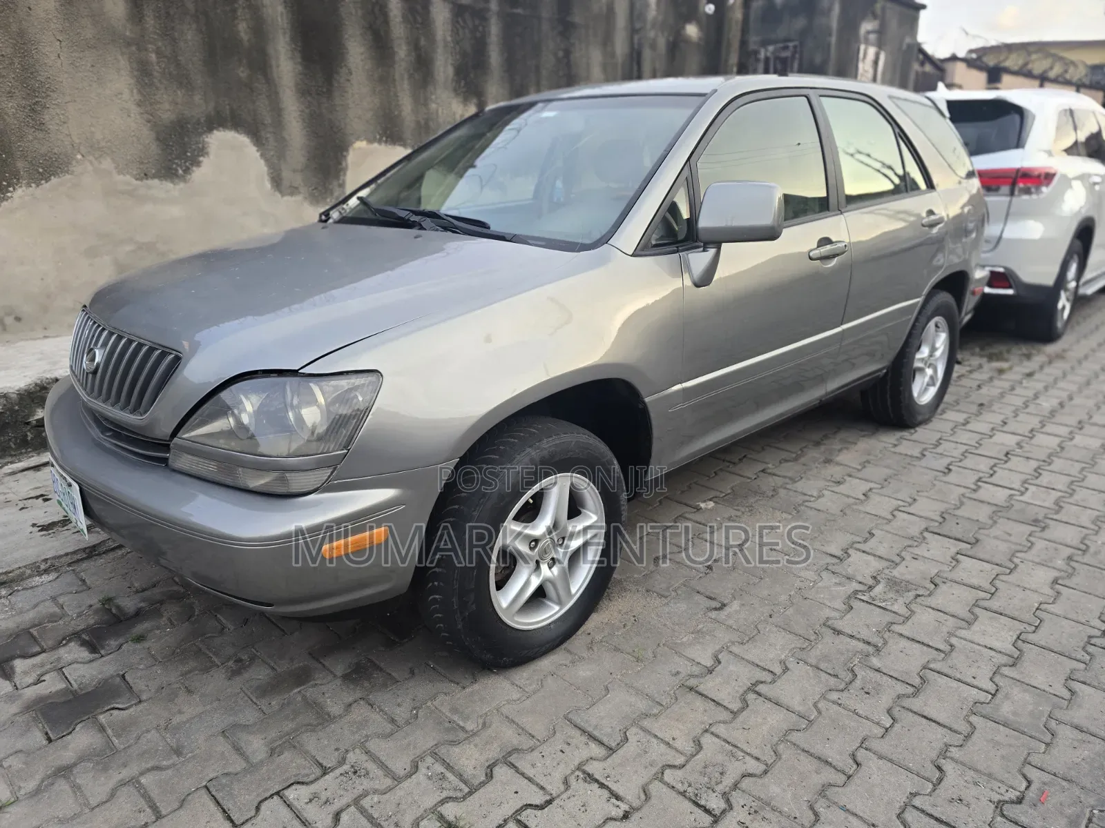 Lexus RX 2002 Gray