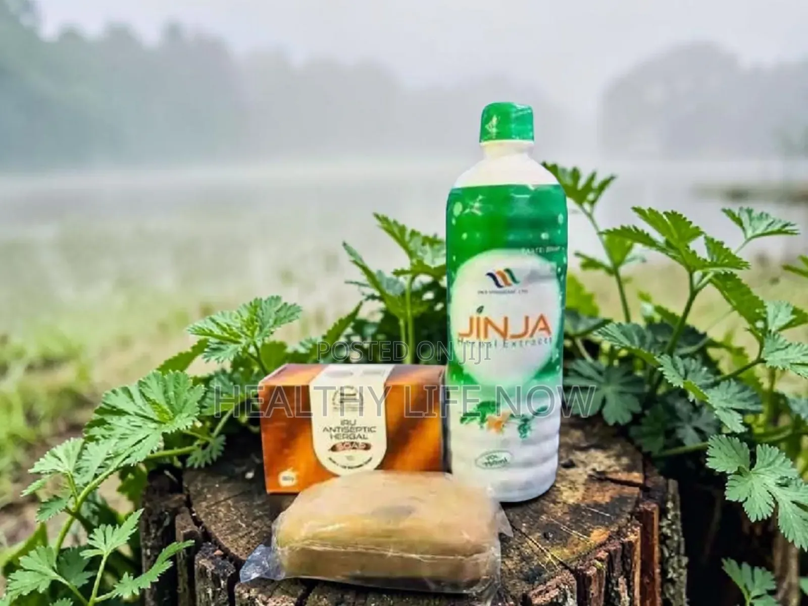 Jinja Promote Reproductive Health for Male and Female
