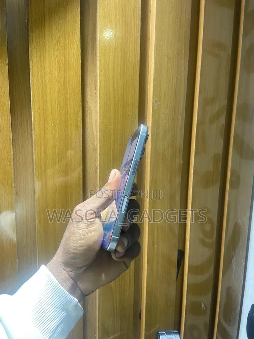 Apple iPhone 16 Pro 256 GB Silver