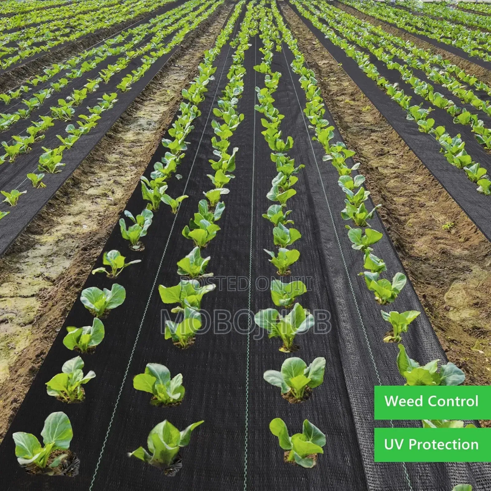 200sqrm Uv Weedmat Cover Woven Fabric Breathable Weedmat (2m×100m)