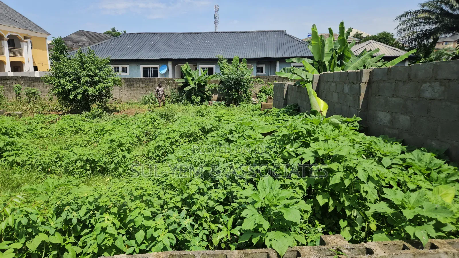 Half Plot of Land 60ft by 60ft at Withington Estate, Igesu Ayobo