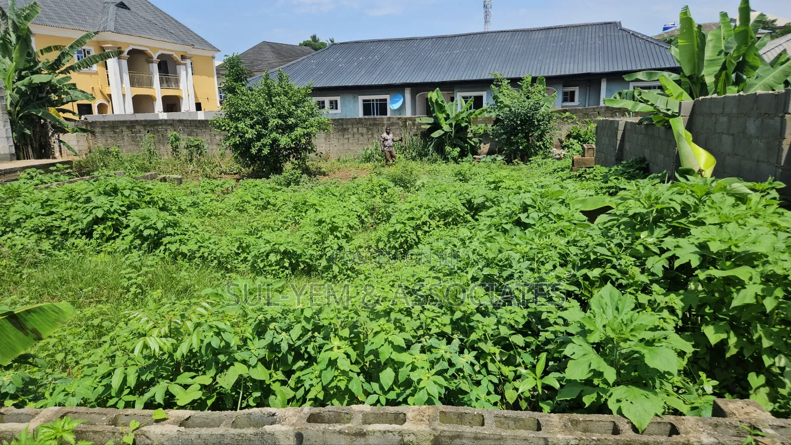 Half Plot of Land 60ft by 60ft at Withington Estate, Igesu Ayobo