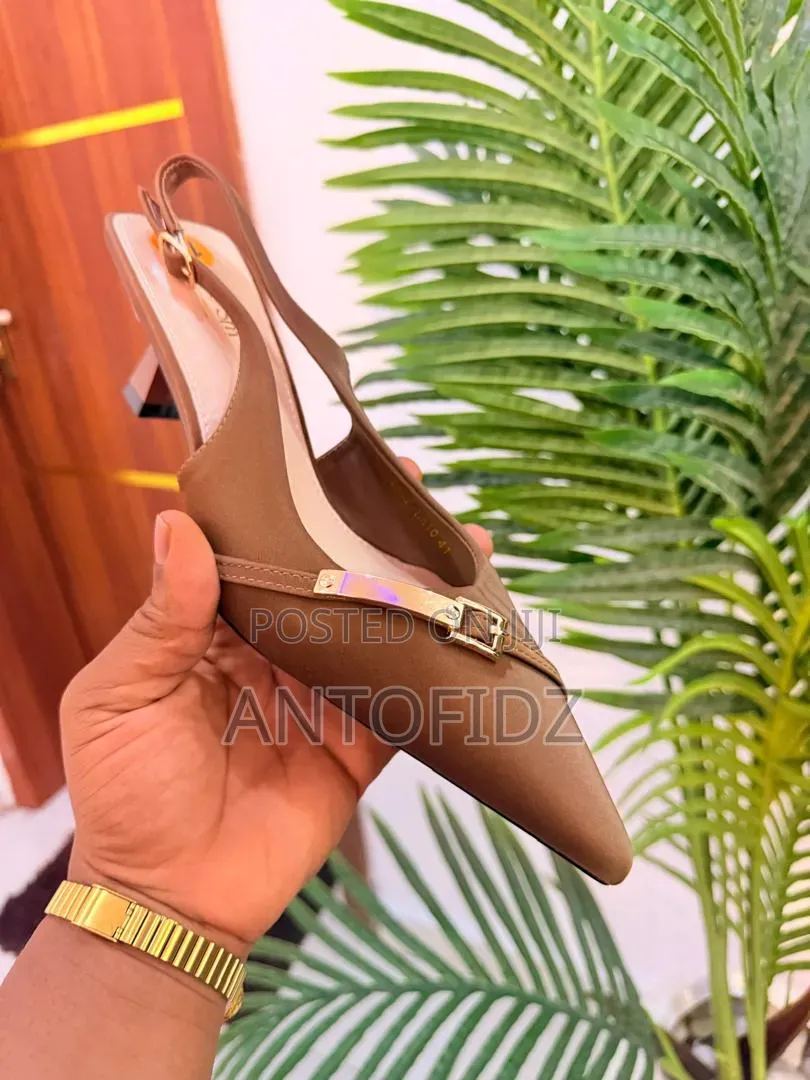 Luxury Beautiful Shoe