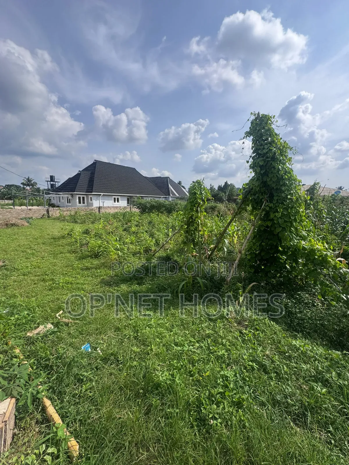 Fenced 1036 SQM Land Is Available