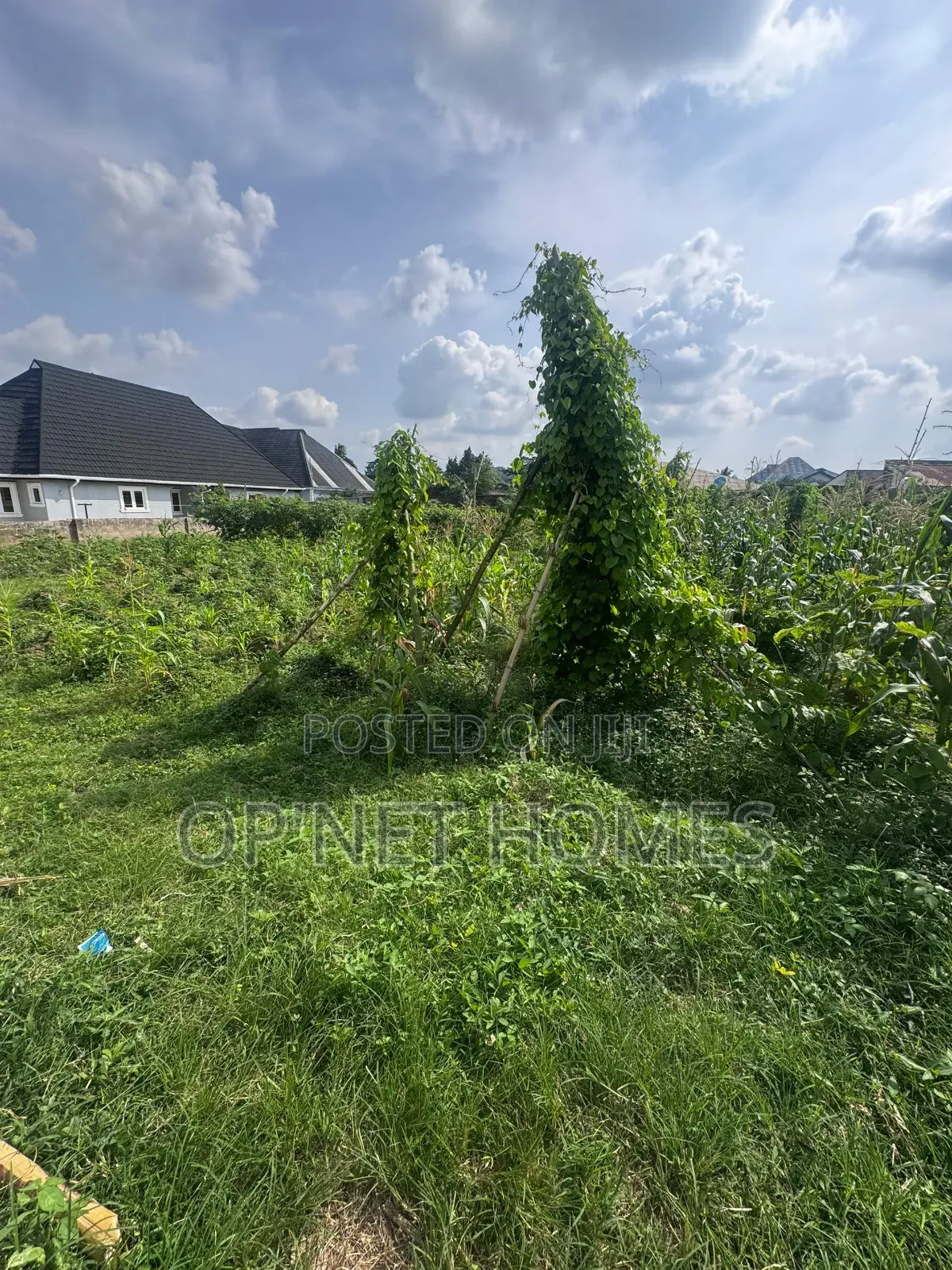 Fenced 1036 SQM Land Is Available