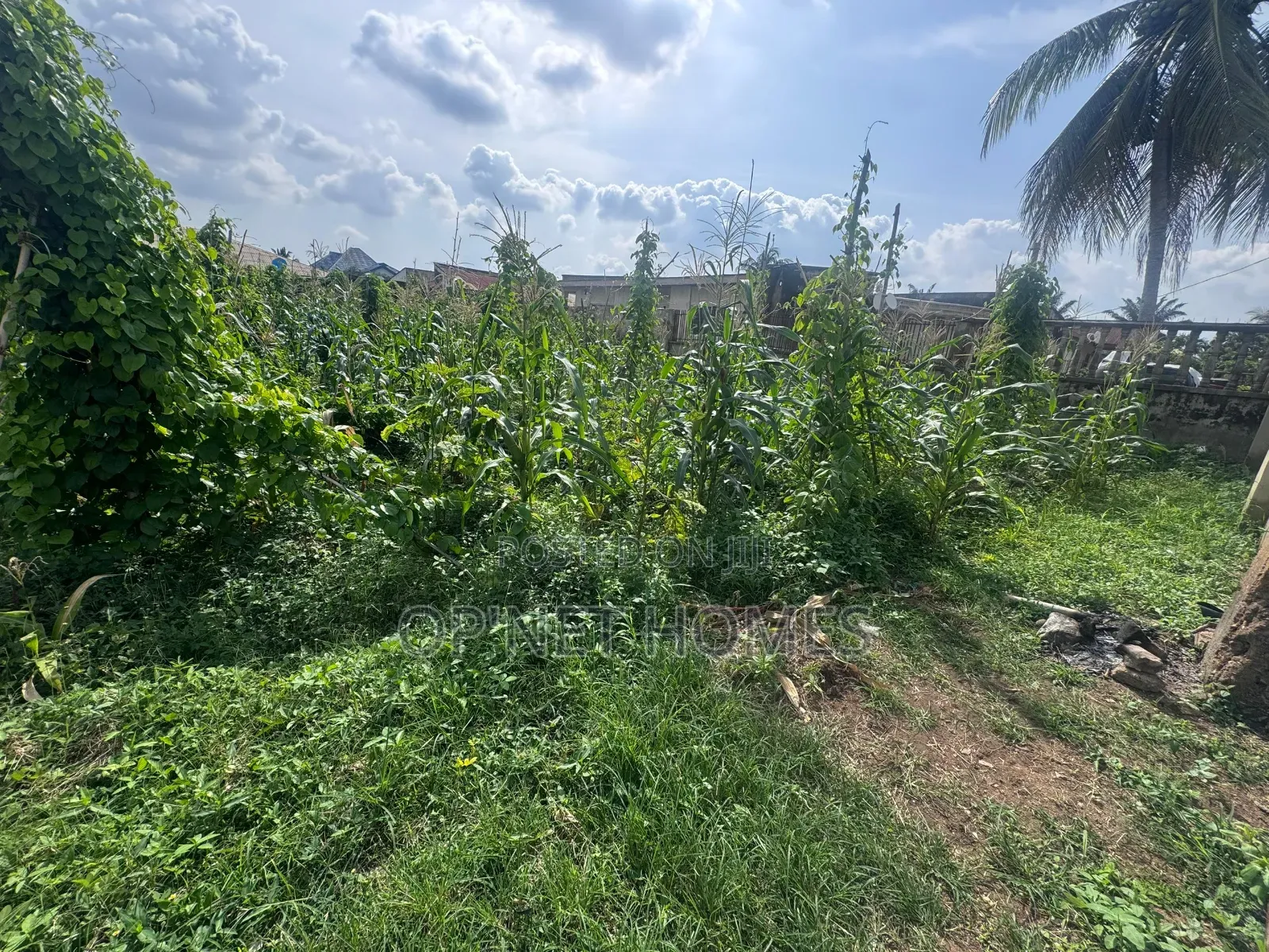 Fenced 1036 SQM Land Is Available