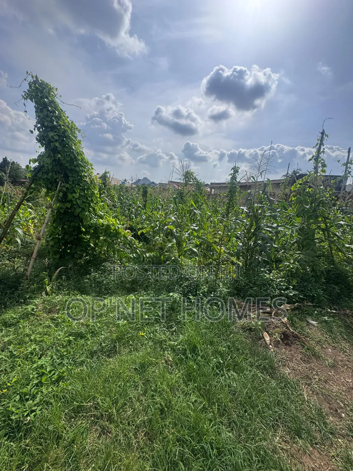 Fenced 1036 SQM Land Is Available