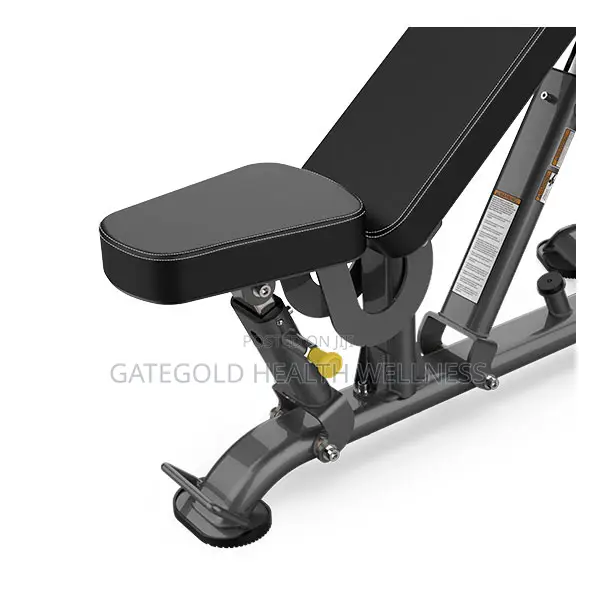 Sfi-100 Multi-Angle Ab Utility Bench