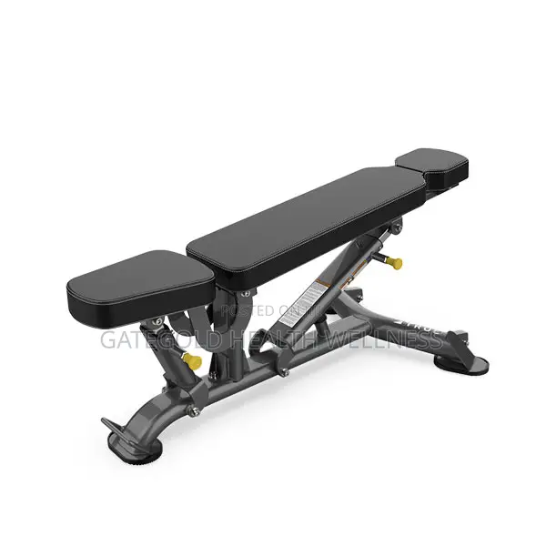 Sfi-100 Multi-Angle Ab Utility Bench