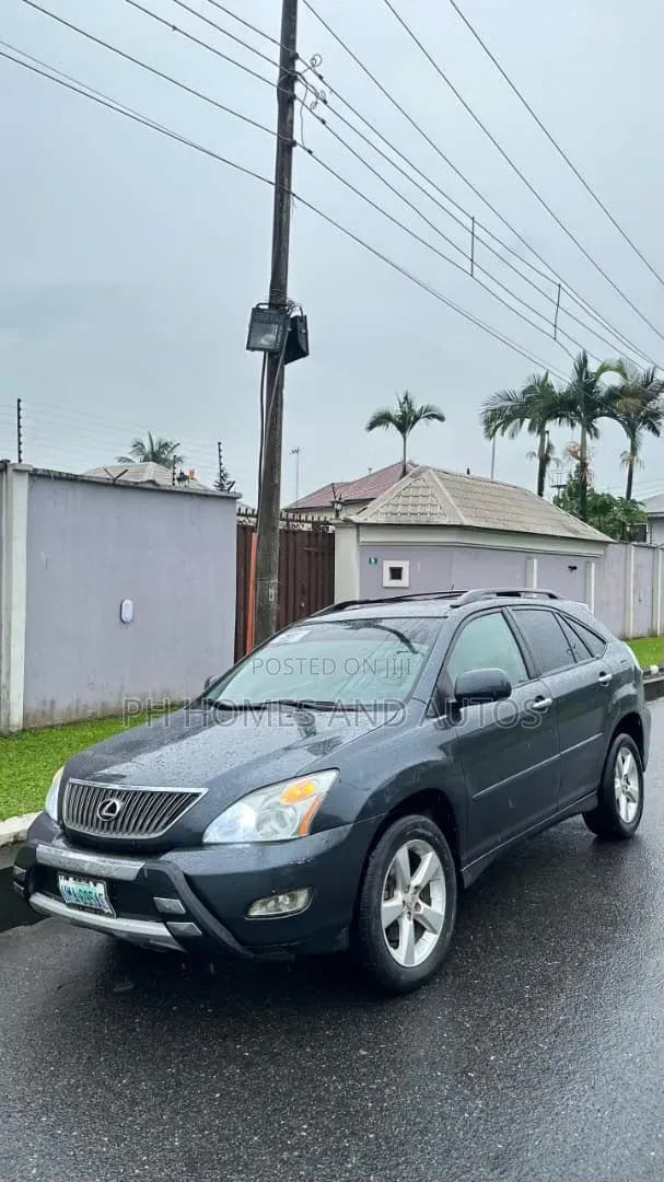 Lexus RX 2005 Gray