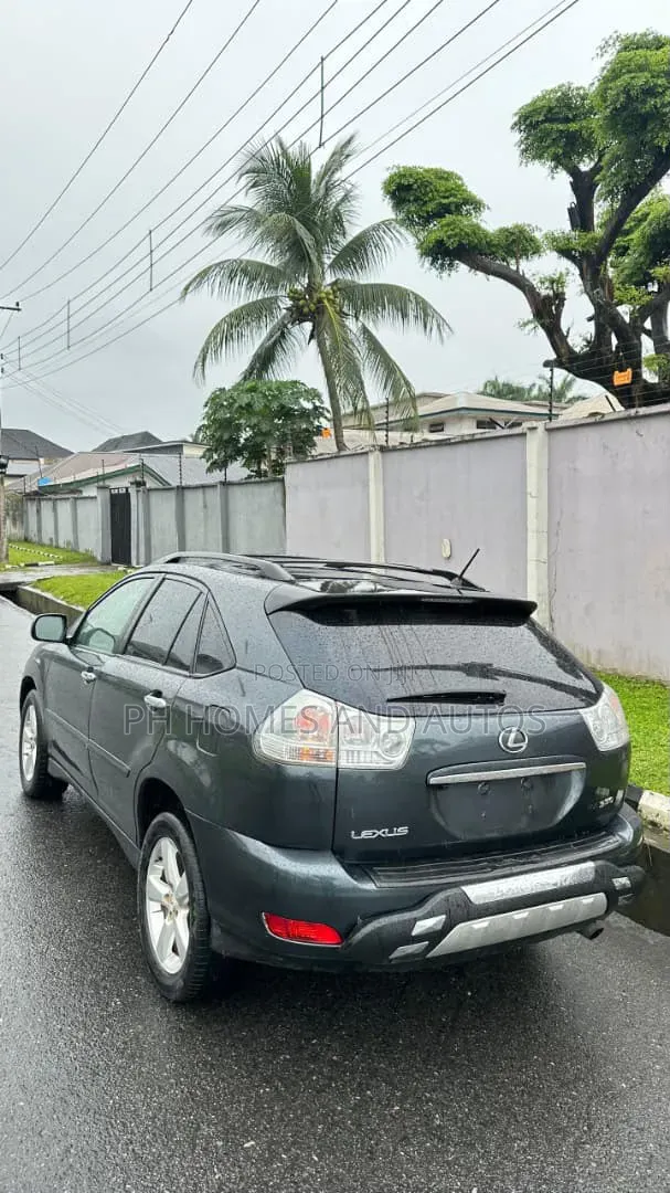 Lexus RX 2005 Gray