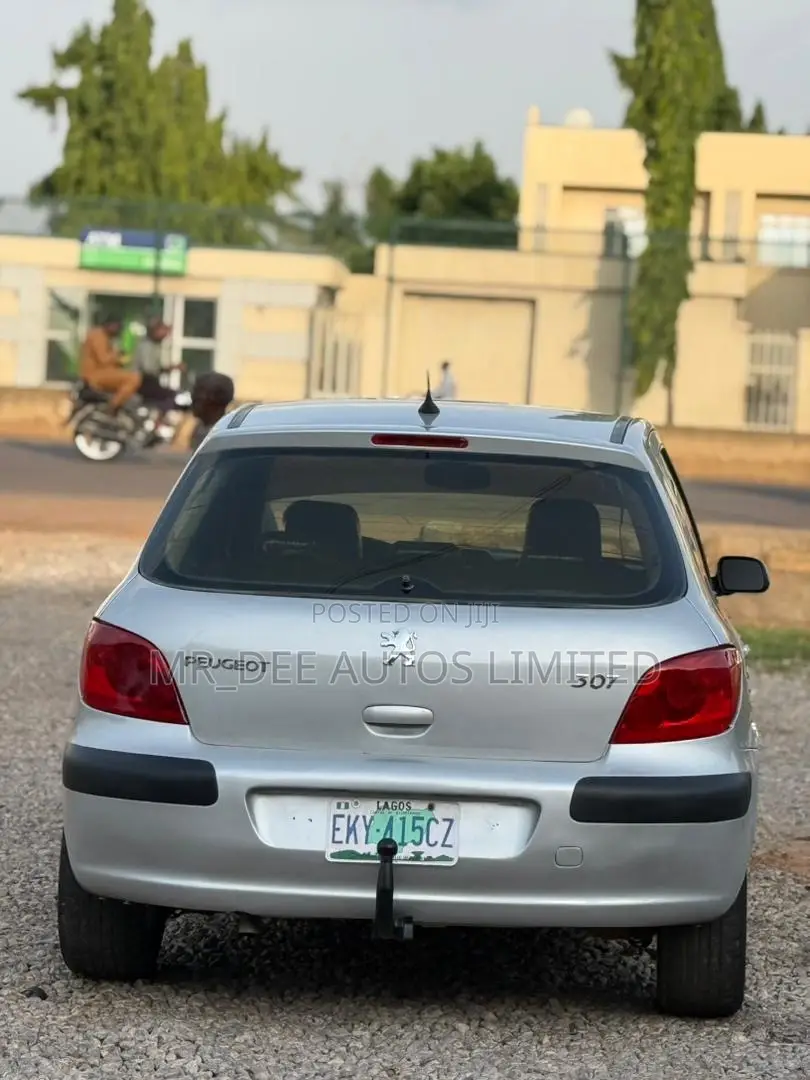 Peugeot 307 2008 Silver