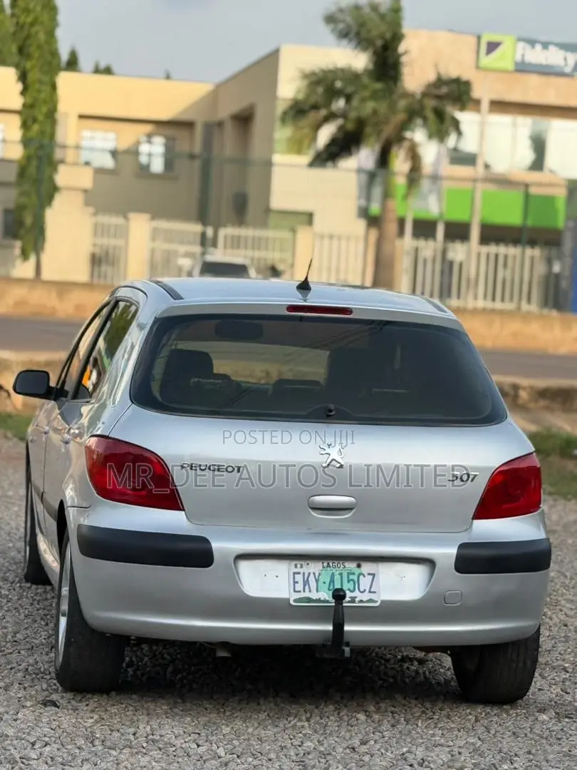 Peugeot 307 2008 Silver