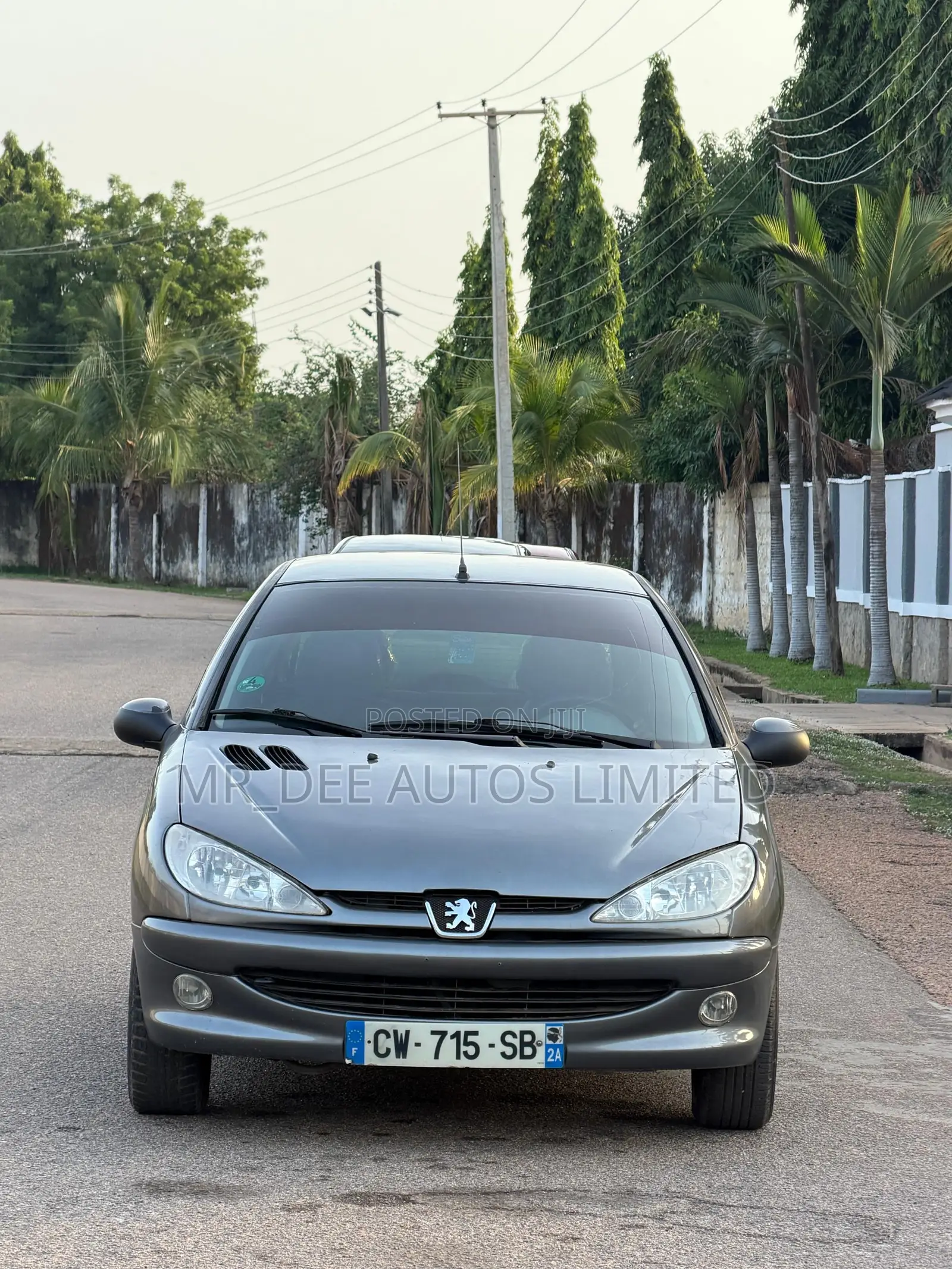 Peugeot 206 2004 Gray