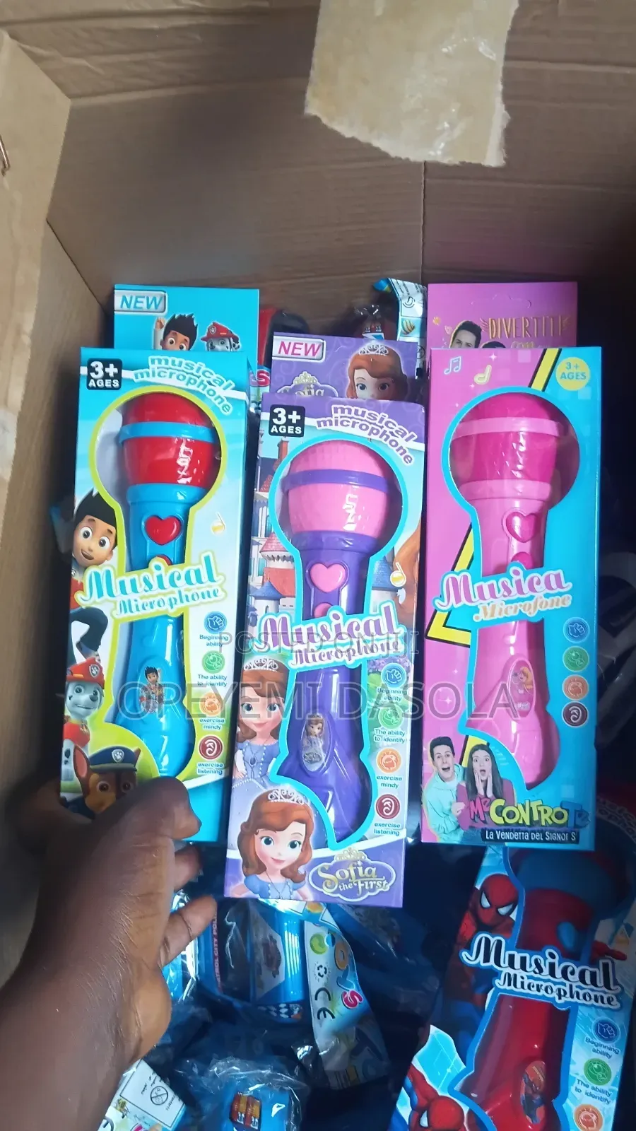 Character Singing Microphone