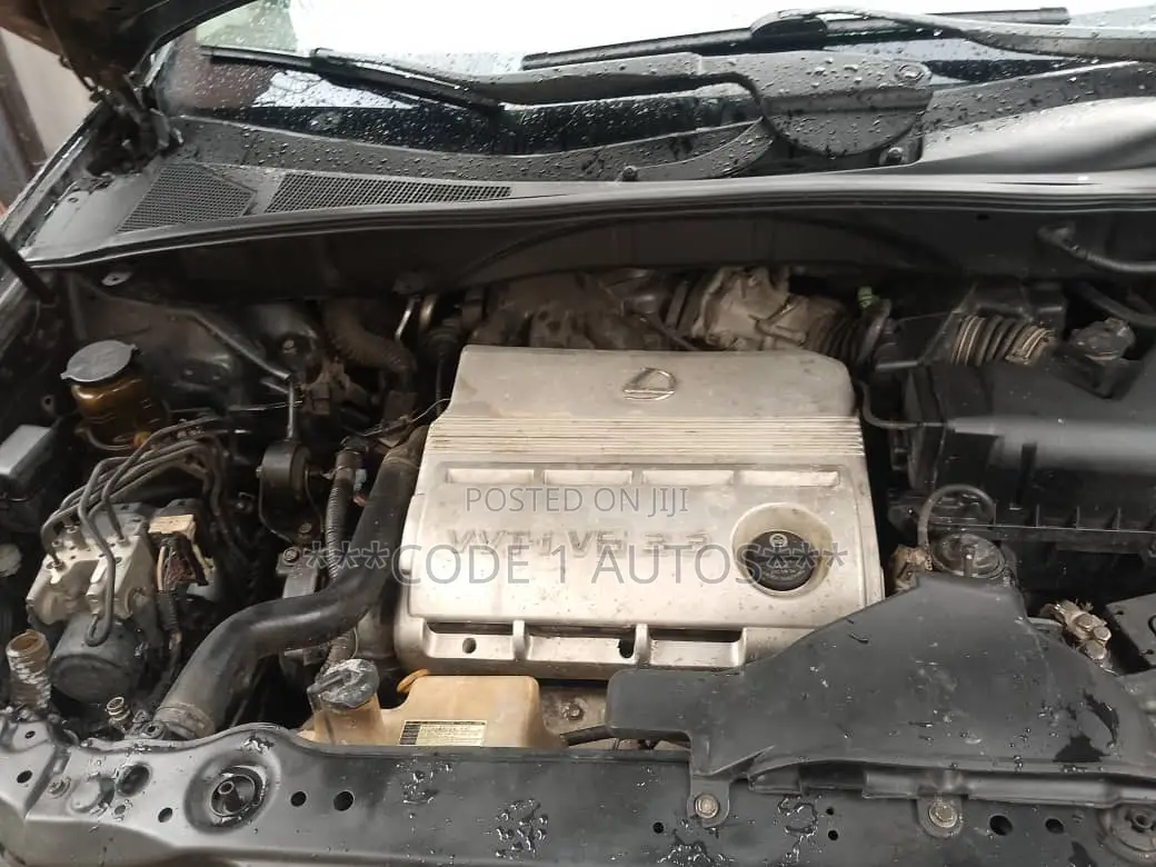 Lexus RX 330 2004 Green