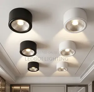 15w Cantilever Downlight